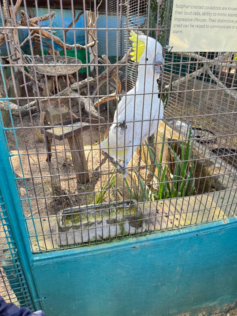 Harmony Junior School